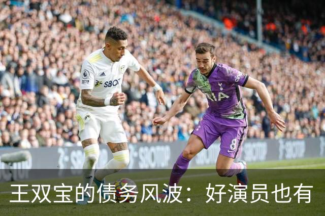 王双宝的债务风波：好演员也有“缺钱”烦恼